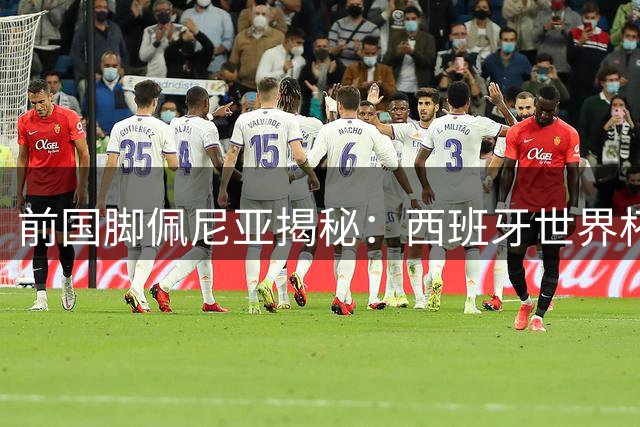 前国脚佩尼亚揭秘：西班牙世界杯夺冠实至名归 梅西独木难支阿根廷