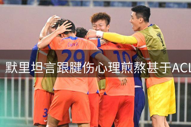 默里坦言跟腱伤心理煎熬甚于ACL撕裂